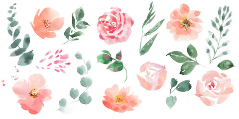 Abstract flowers watercolor clipart, hand painting floral set, flowers and leaves.