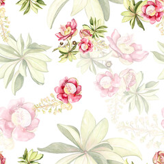 cannonball flower pattern