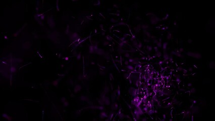 Flying sparks of blue-violet color motion as animated 3D abstract introduction decoration explosion on black background