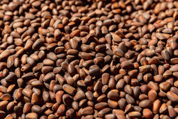 Texture raw ripe fresh brown pine nuts in shell as background, top view