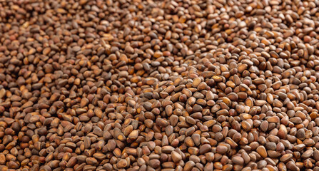 Texture raw ripe fresh brown pine nuts in shell as background, top view