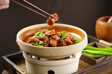 Chinese braised pork ribs, Chinese food made from pork ribs, cilantro, onion