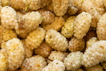 Mulberry. Background for the sale of fruits. Mulberry harvest