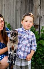 Naklejka na ściany i meble Little child boy with mom playing with baby goat in field near farmland.