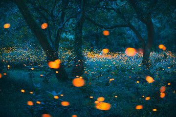 Fototapeta na wymiar Bokeh light of firefly in forest at dusk in Thailand