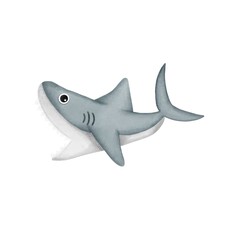shark isolated on white