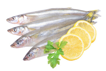 Smelt fish isolated