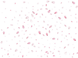 Flying Spring Sakura.