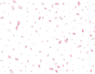 Flying Spring Sakura.