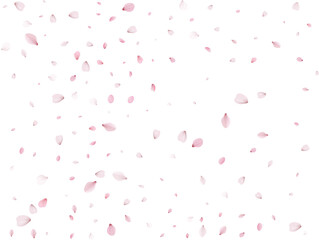 Flying Spring Sakura.