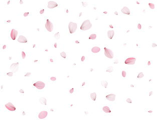 Flying Spring Sakura.
