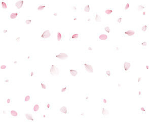 Flying Spring Cherry.