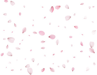 Flying Spring Cherry.