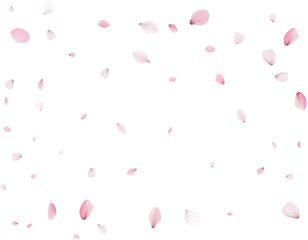 Flying Spring Cherry.