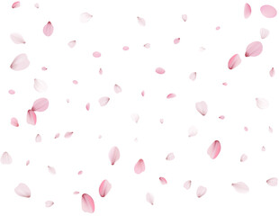 Flying Spring Cherry.