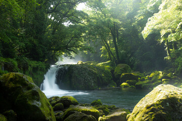 熊本県 菊池渓谷