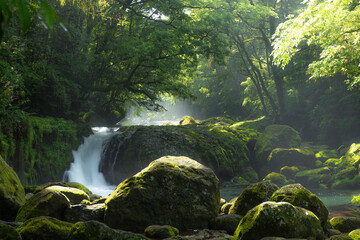 熊本県 菊池渓谷