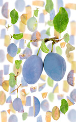 Fototapety na wymiar - Fototapeta24.pl