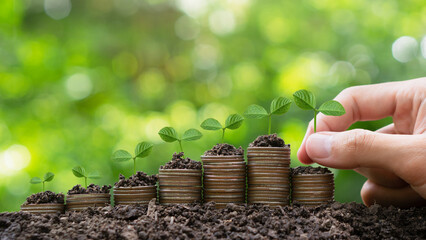 Money-saving,Growing Money,Finance And Investment concept.Hand putting plants growing up on stack...