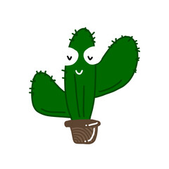 cactus in a pot 