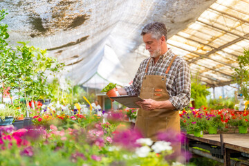 Gardener or florist working in a nursery inside the flower greenhouse, taking inventory with a folder in the sunset