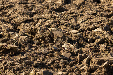 Preparation of soil for sowing plants