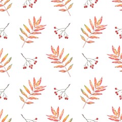 Seamless autumn pattern with leaves and rowan berries on a white background. Hand-drawn watercolor illustration. Design for packaging, wrapping, cover, autumn holidays.