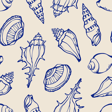 Marine seamless pattern different cockle shells and seashells blue line sketch on beige background