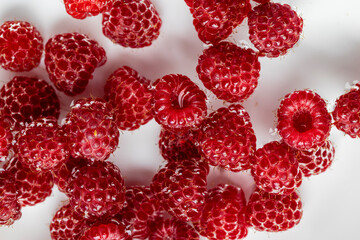 Ripe raspberries in a bowl with water