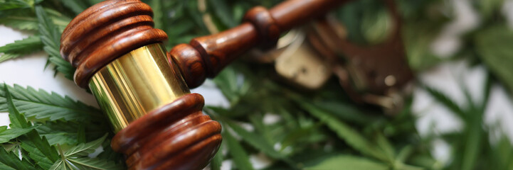 Judge wooden gavel and handcuffs on green marijuana leaves closeup. Criminal liability for possession and use of drugs concept