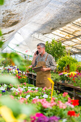 Elderly gardener working in a nursery inside the flower greenhouse on a job call, vertical photo