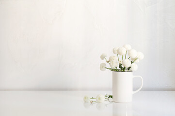 white chrysanthemums in vintage cup on white background