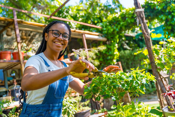 Portrait of black ethnic woman with braids and glasses is a gardener in the nursery in the...