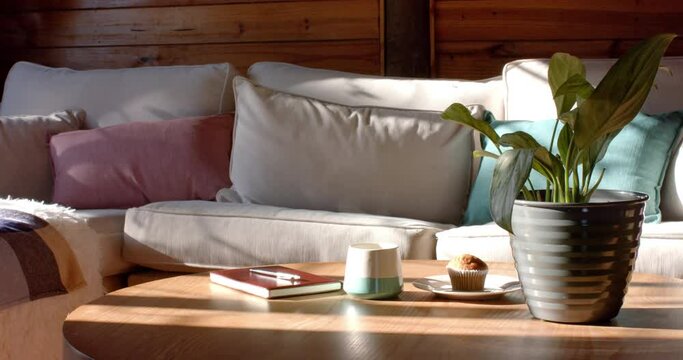 Interior of log cabin with sofa, coffee table and plant, in slow motion