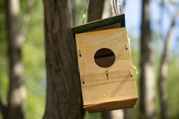 Plywood bird house. Bird feeder. House hangs on tree.