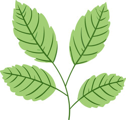 Green Leaf nature element 