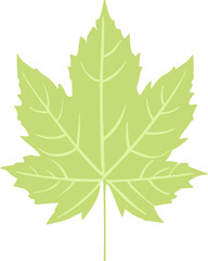 Green Leaf nature element 