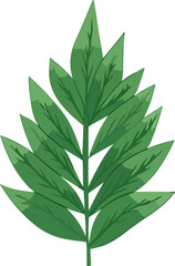 Green Leaf nature element 