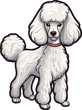 Poodle Elegance Sophisticated Dog Vector Illustration