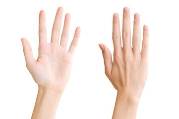 Two hands isolated on a transparent background PNG