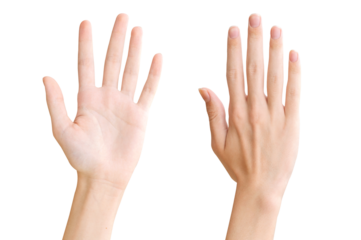 Two hands isolated on a transparent background PNG
