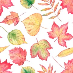 Fototapeta na wymiar Autumn leaves on a white seamless background. Watercolor leaves of different shapes and sizes drawn by hand. Designs for fabric, textiles, wrapping, packaging, cover.