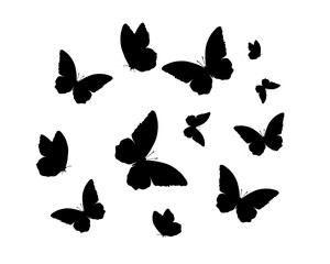 set of butterfly