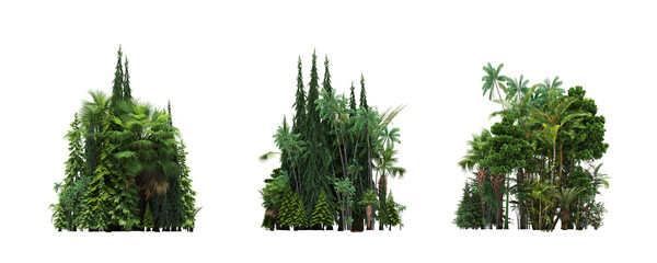 group of trees isolated on a white background, forest, sketch, outline illustration, cg render