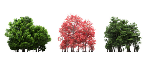 Fototapeta premium group of trees isolated on a white background, forest, sketch, outline illustration, cg render