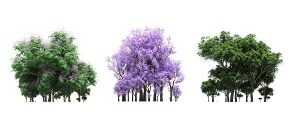 Fototapeta premium group of trees isolated on a white background, forest, sketch, outline illustration, cg render
