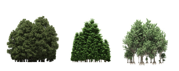 group of trees isolated on a white background, forest, sketch, outline illustration, cg render