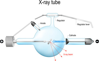 Crookes X-ray tube.  Realistic vector illustration.
