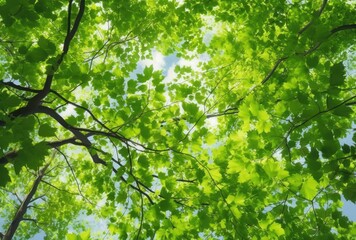 Fototapeta premium Closeup of Nature view of green leaves that have been eaten by a worm on blurred greenery background in forest