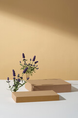 Two rectangle podiums placed on white plane with purple lavender flowers. Blank space for product presentation of Lavender (Lavandula) extract